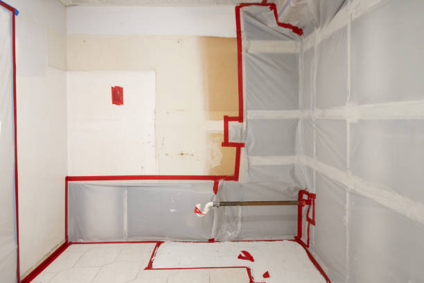 Best Mold Removal for HVAC Installations  in Hooper, NE