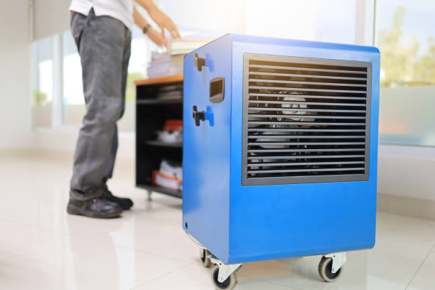 Best Dehumidification Services  in Hooper, NE